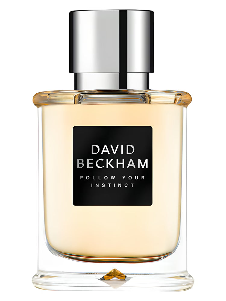 DAVID BECKHAM FOLLOW