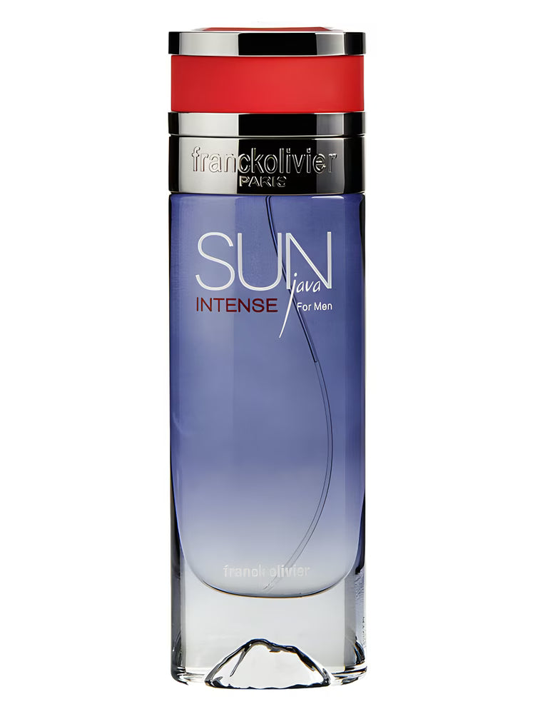 SUN JAVA INTENSE