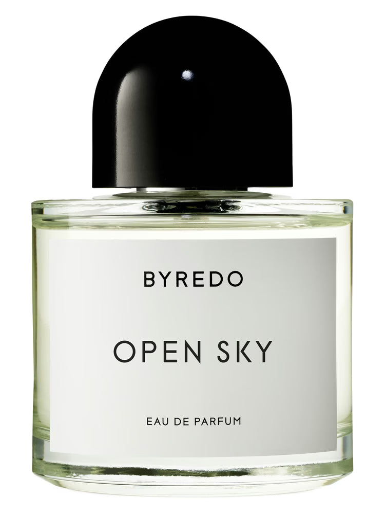 OPEN SKY