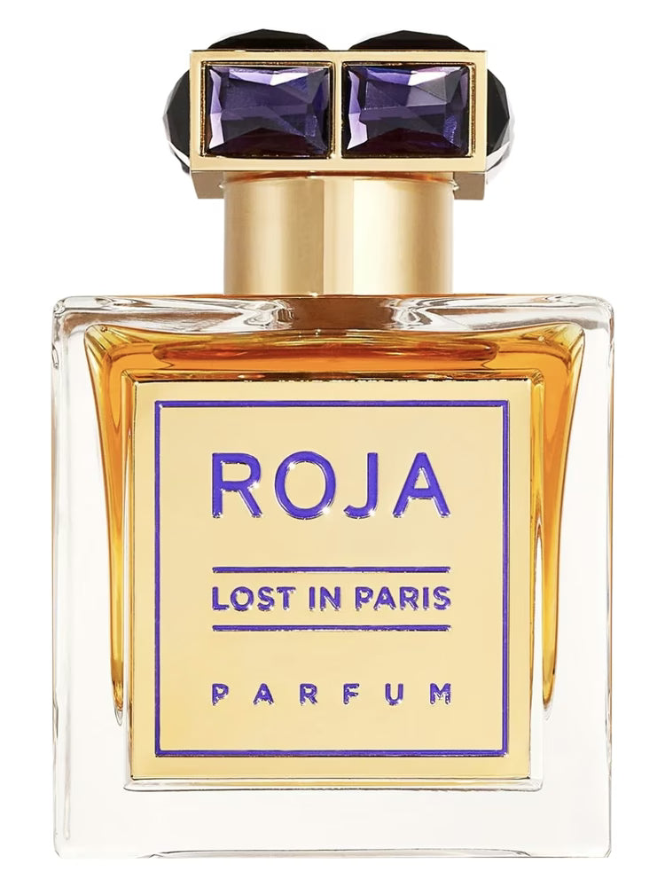 LOST IN PARIS